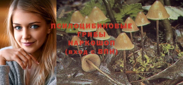 МДПВ Лиски