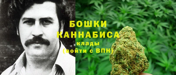 МДПВ Лиски