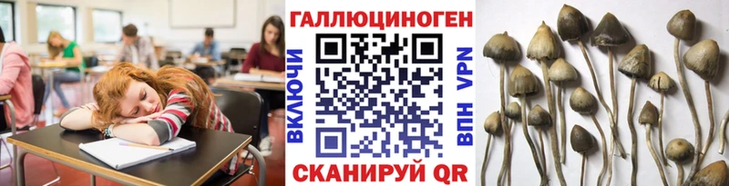 Галлюциногенные грибы GOLDEN TEACHER  Ржев 